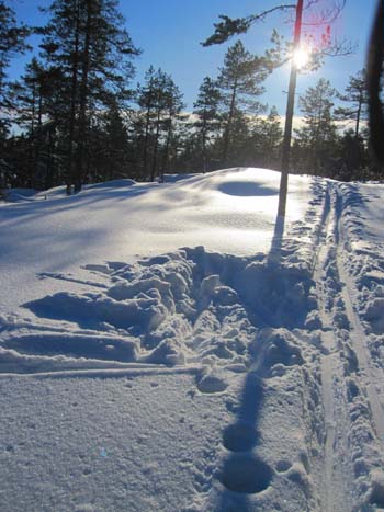 Vinter i Hörneå